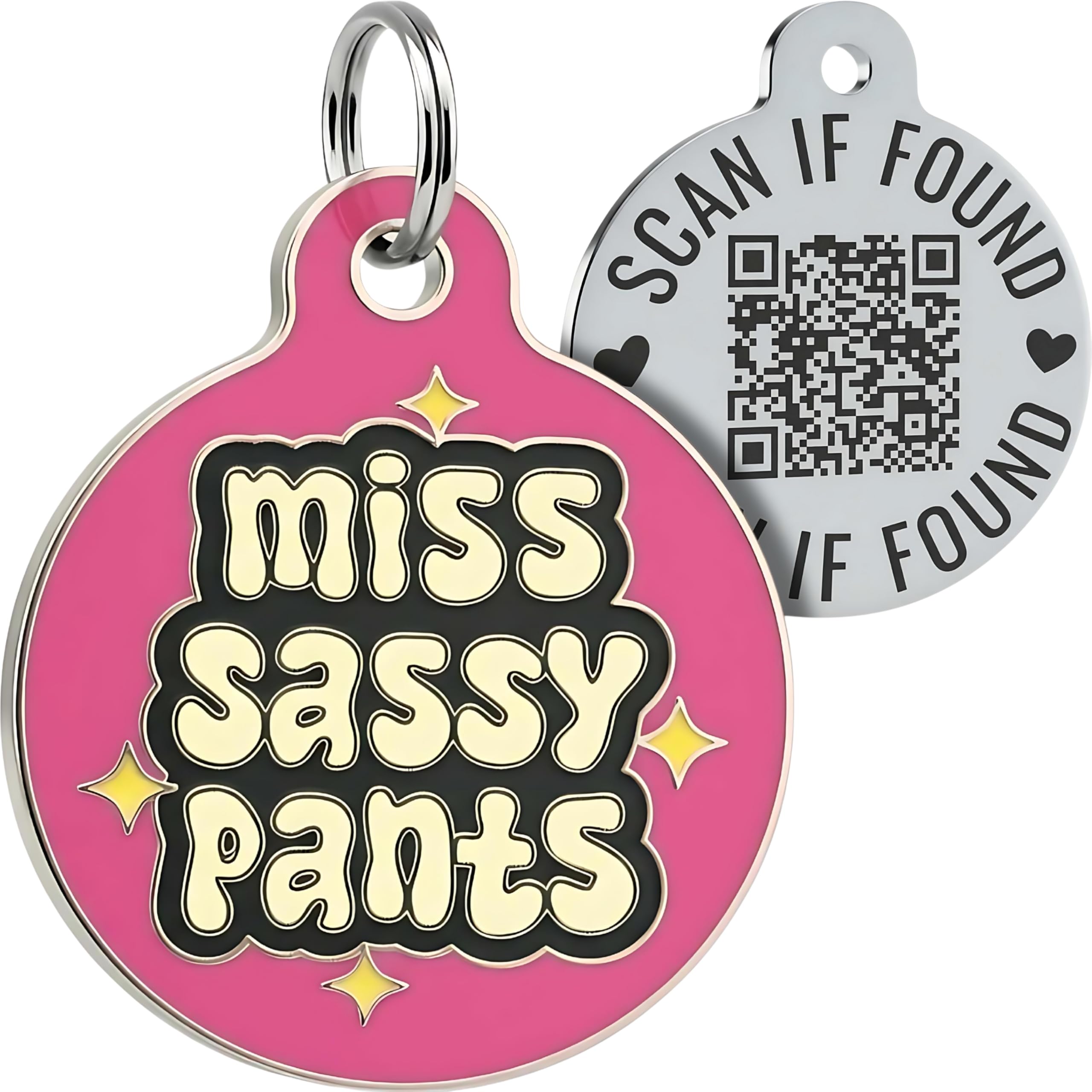 Personalized QR Code Pet ID Tag
