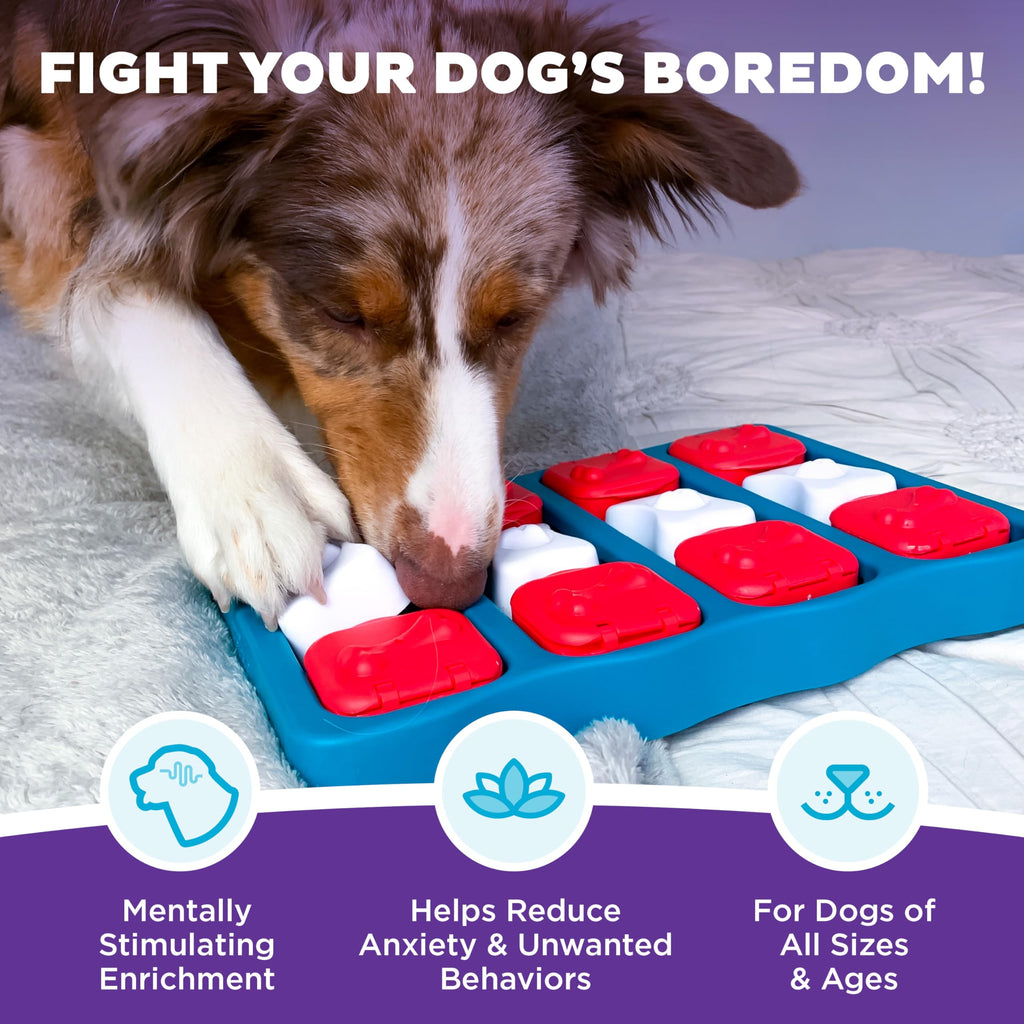Outward Hound by Nina Ottosson Dog Smart Treat Puzzle Toy