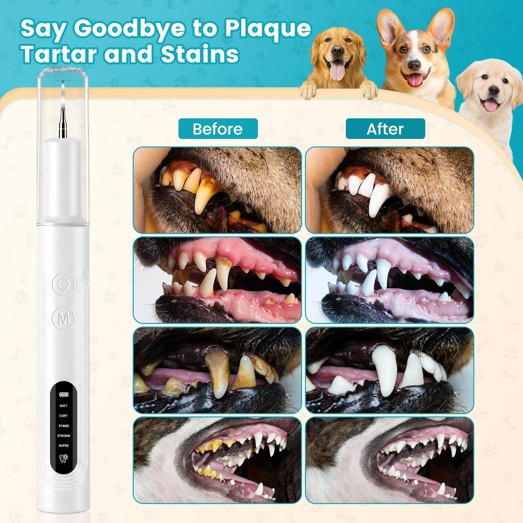 Ultrasonic Pet Plaque Remover