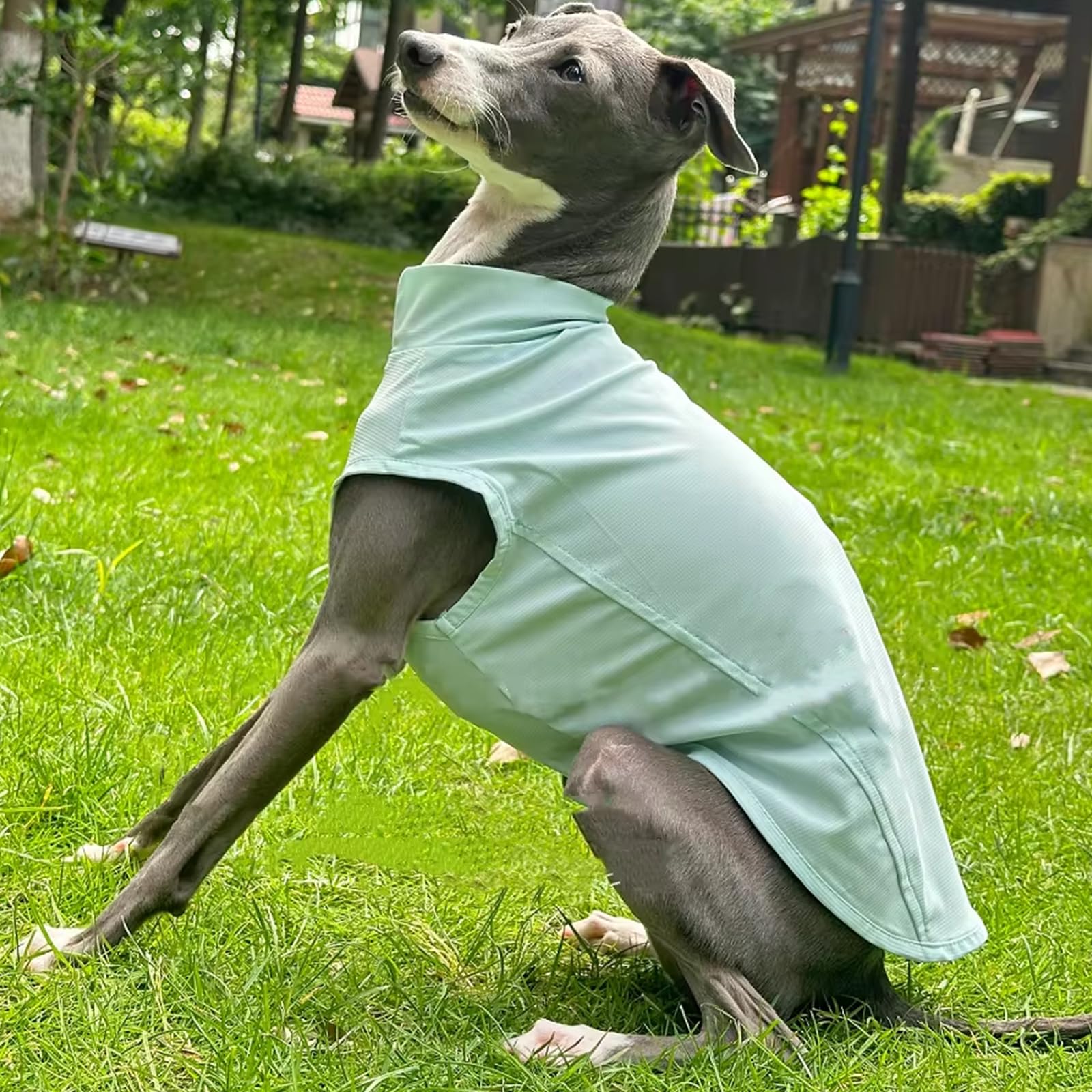 Lightweight Cooling Dog Vest Shirt