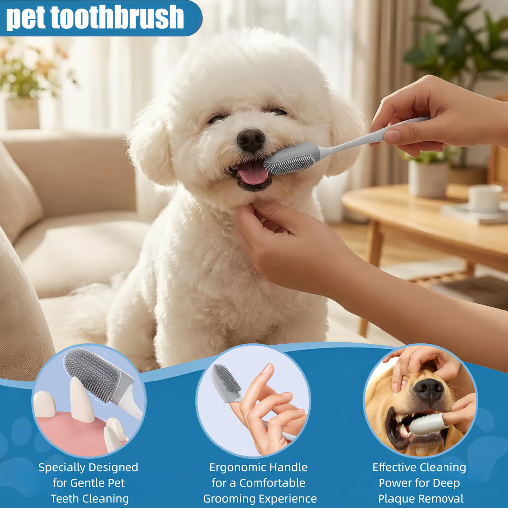 Pet Grooming Kit for Dogs & Cats