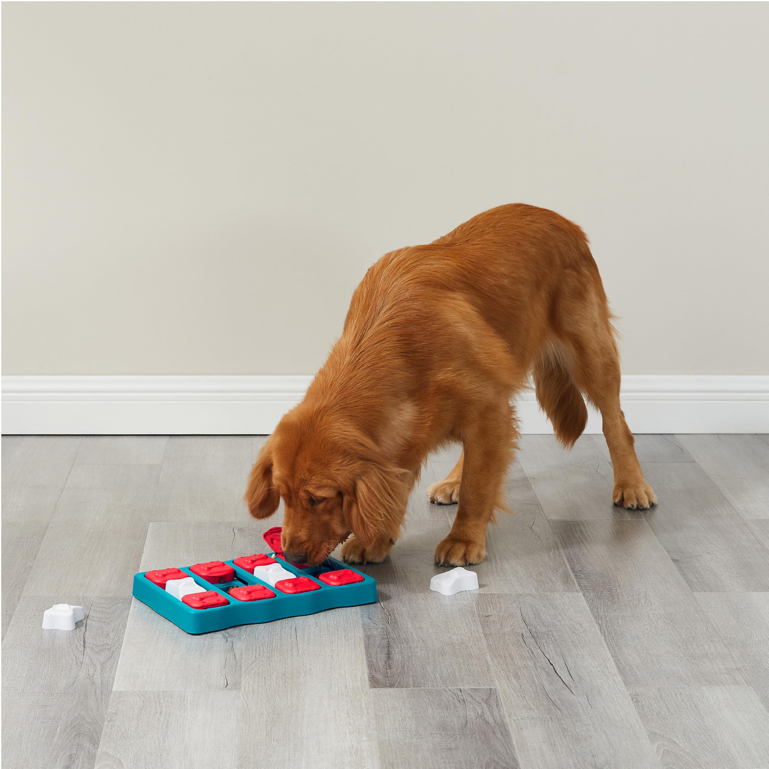 Outward Hound by Nina Ottosson Dog Smart Treat Puzzle Toy