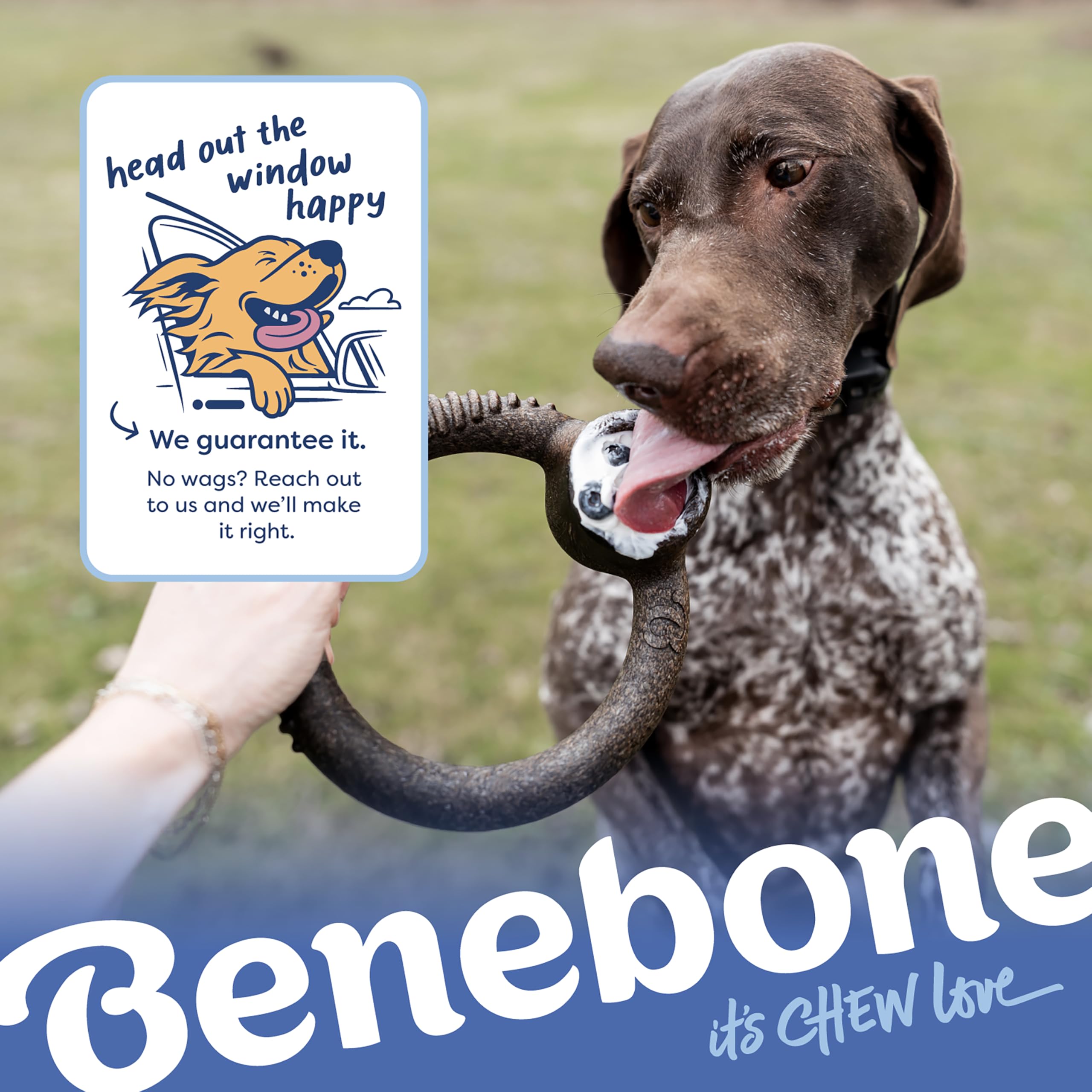 Durable Dog Chew Bones for Aggressive Chewers