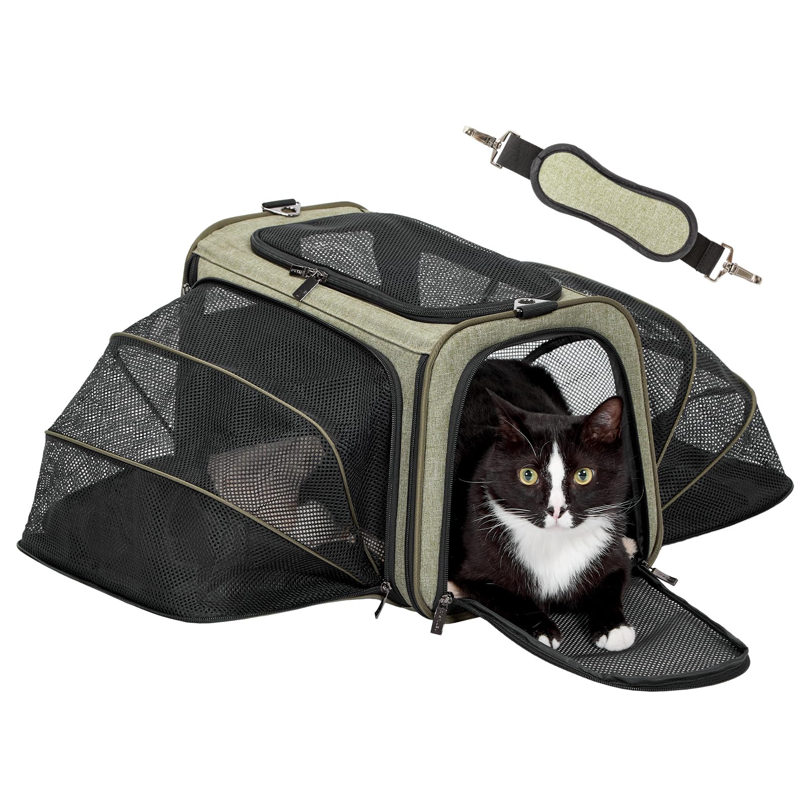 Expandable Airline-Approved Pet Carrier