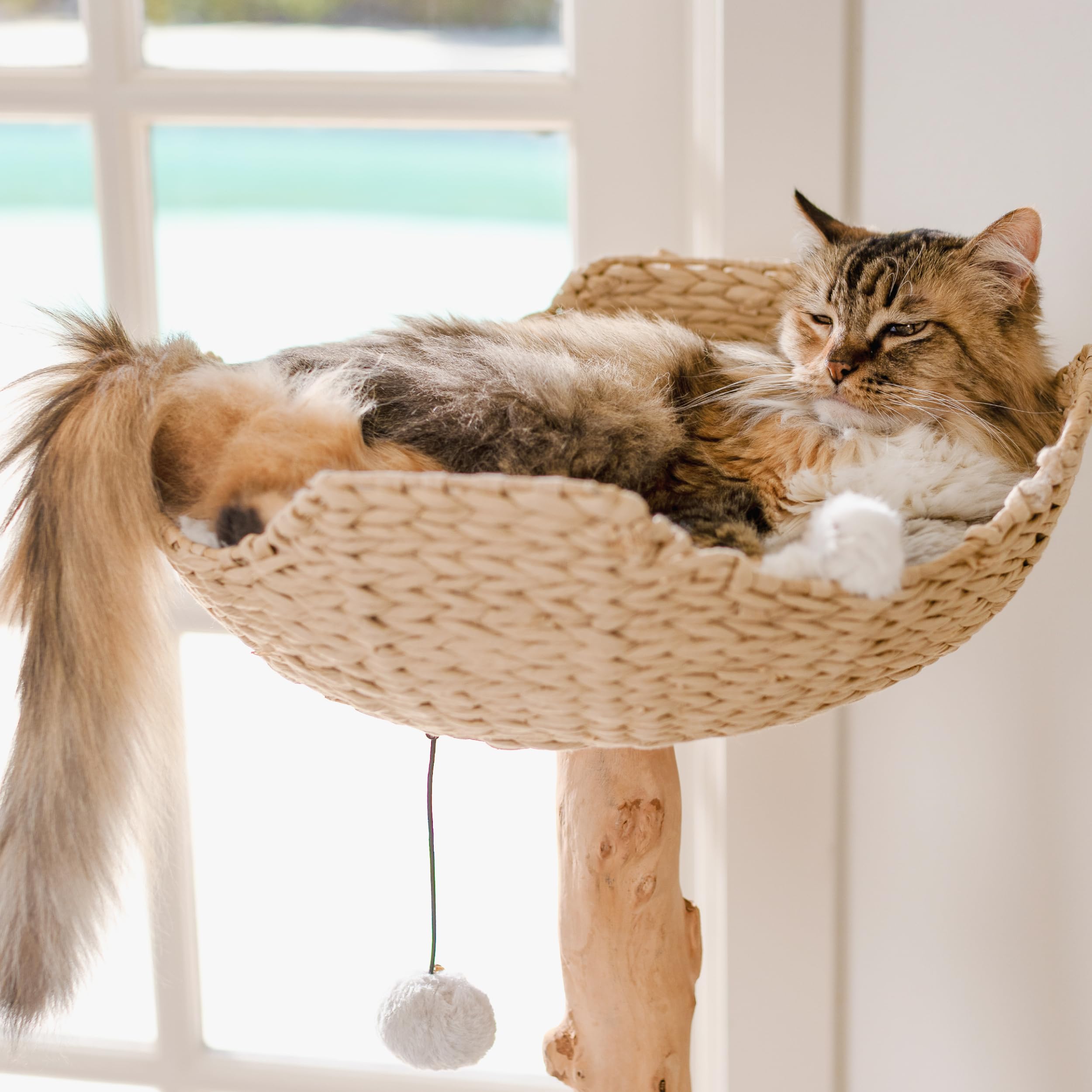 Modern Wooden Cat Tree Tower