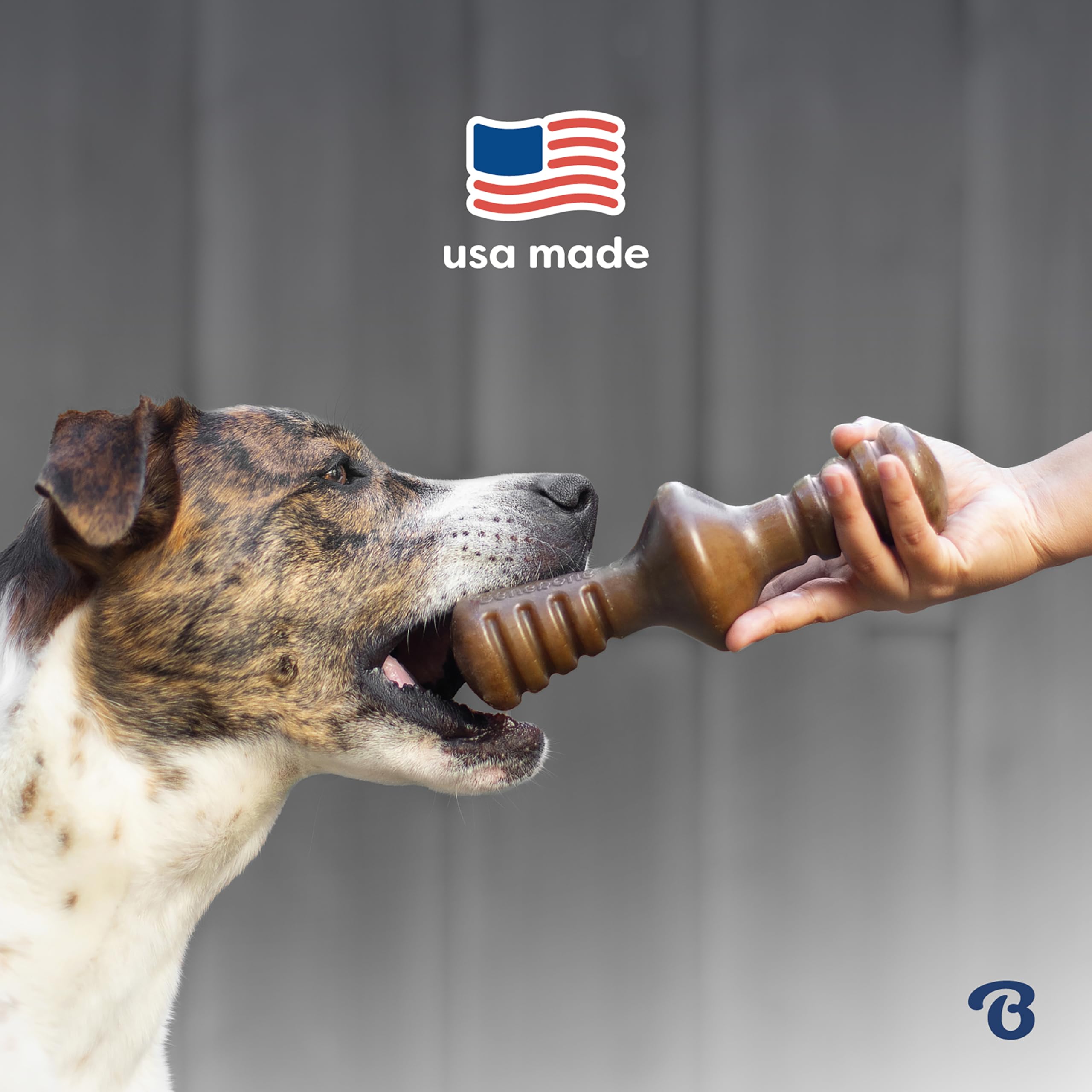 Durable Dog Chew Bones for Aggressive Chewers