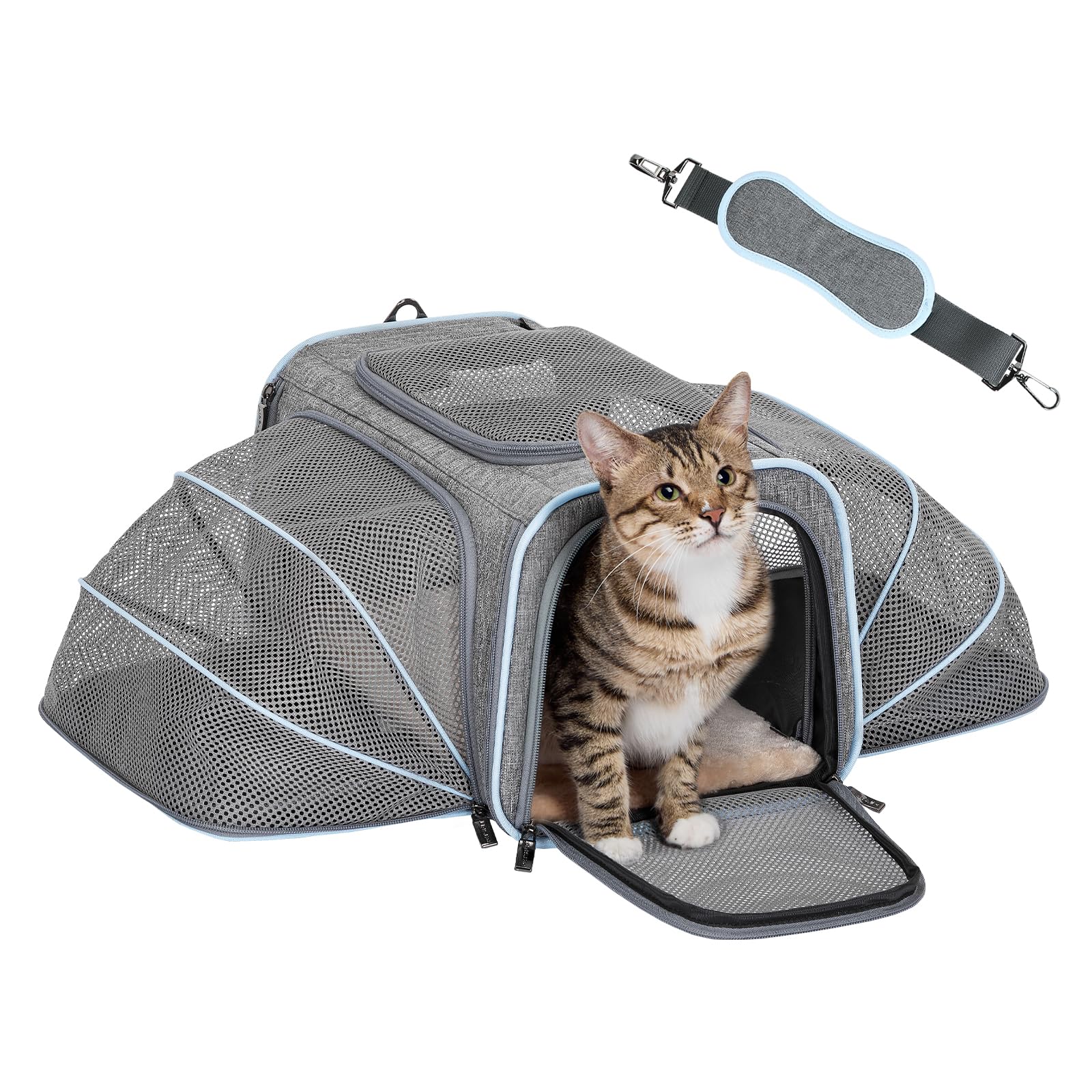 Expandable Airline-Approved Pet Carrier