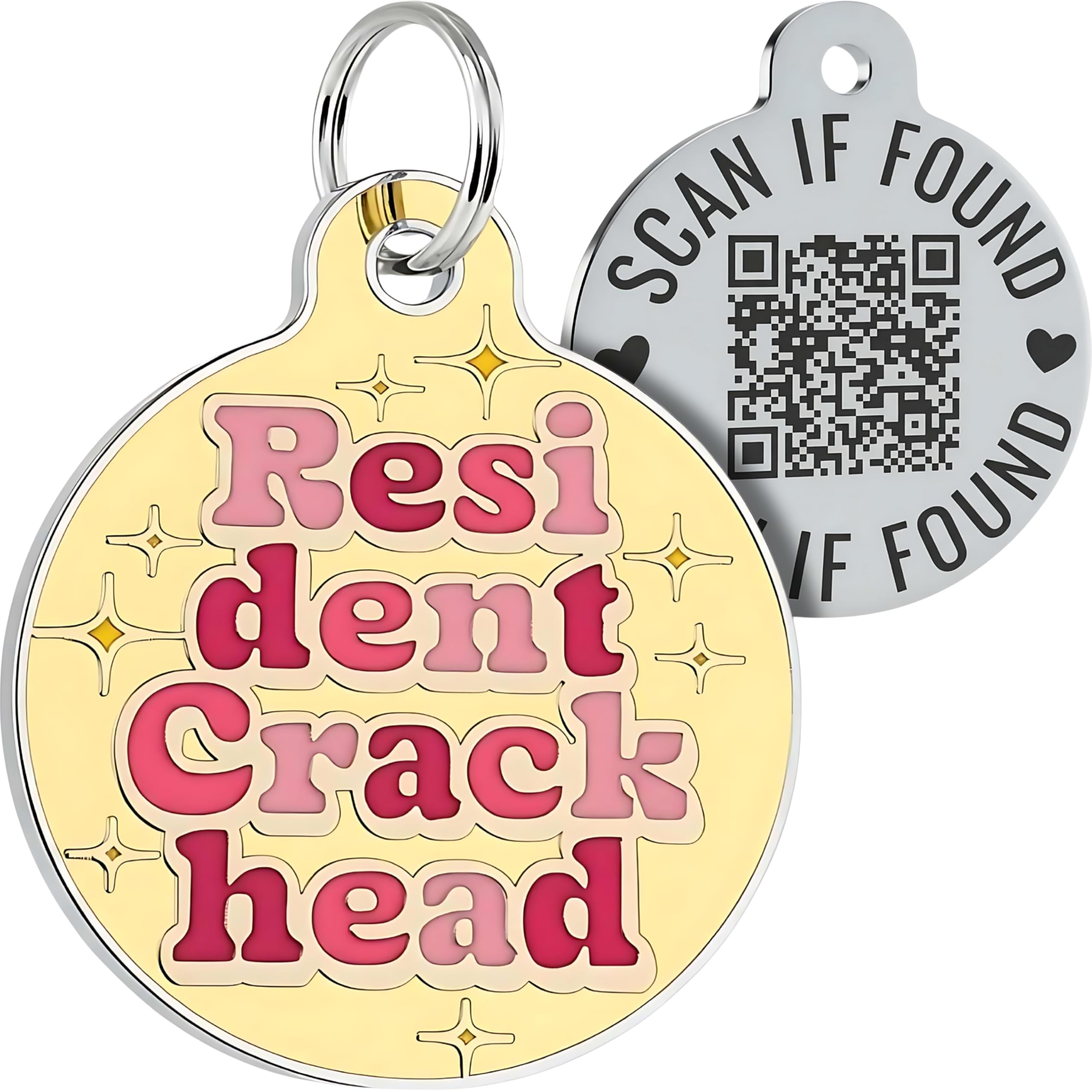 Personalized QR Code Pet ID Tag