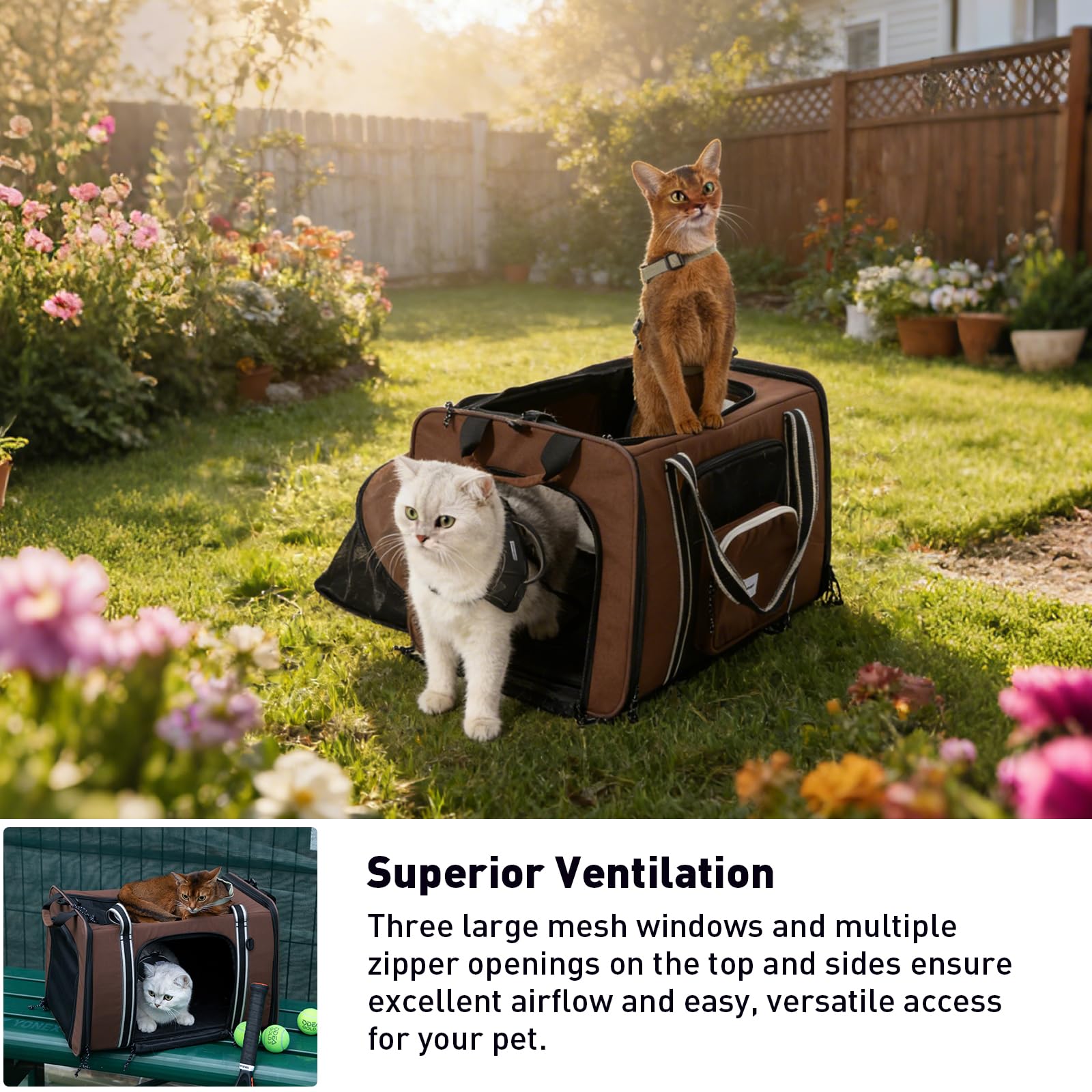 Expandable Pet Carrier for Cats and Small Dogs