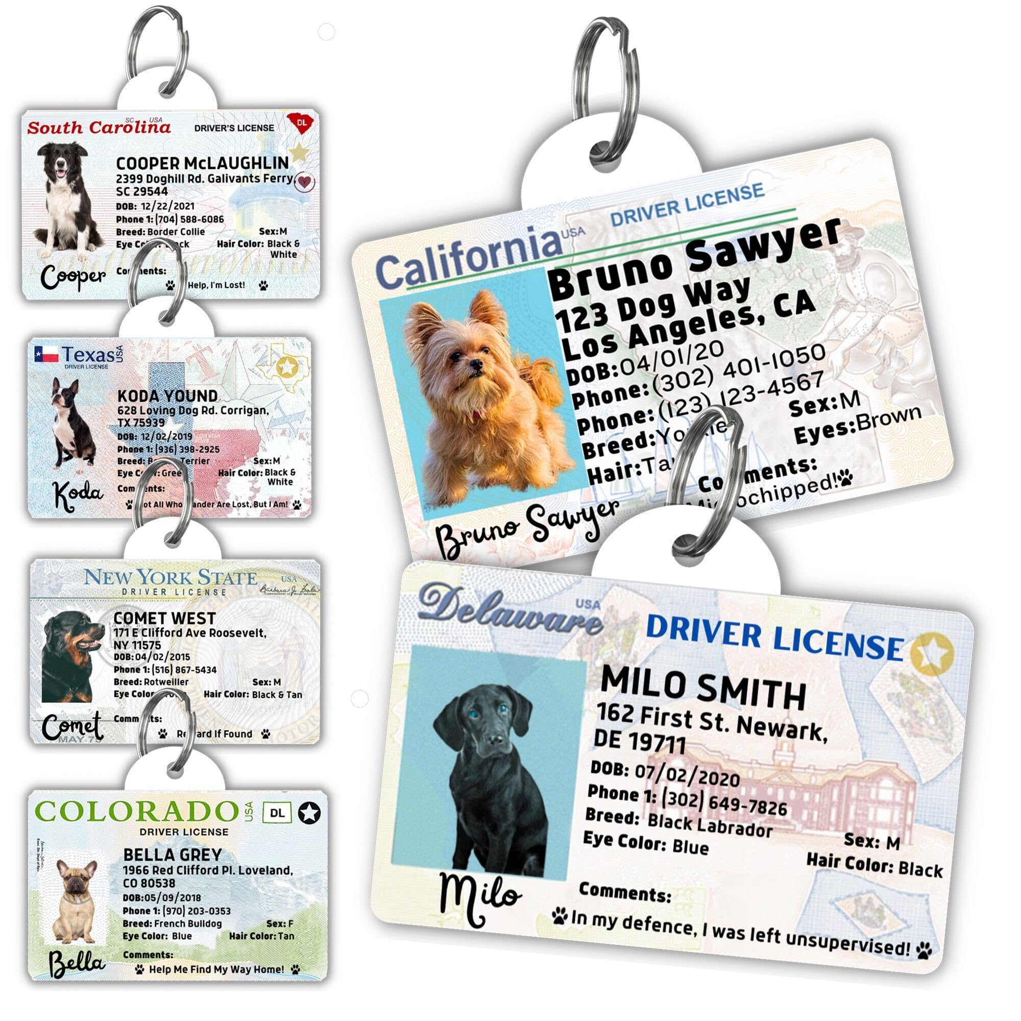 Personalized Pet ID Tag