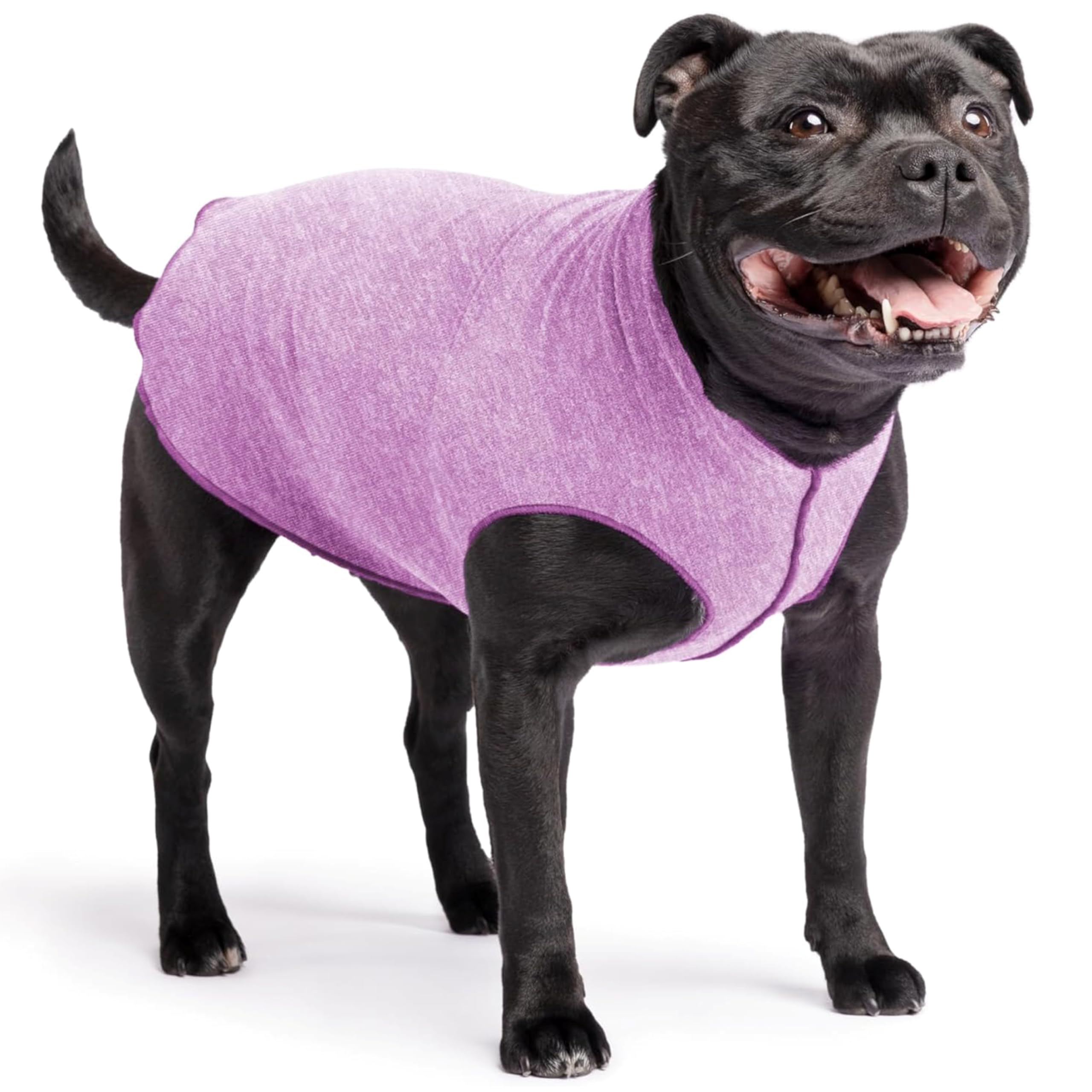Lightweight UV Protection Dog Sun Shirt