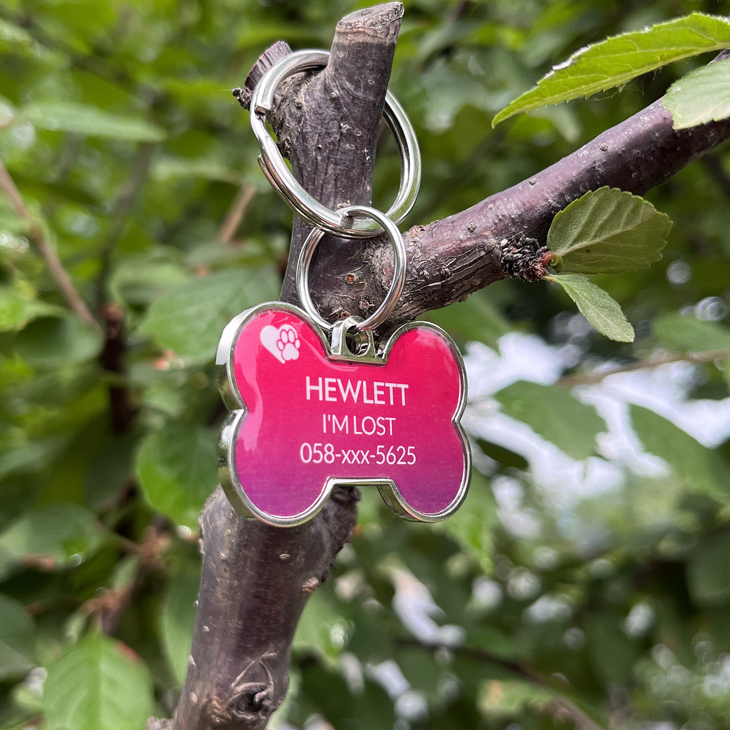 Personalized QR Code Pet ID Tag